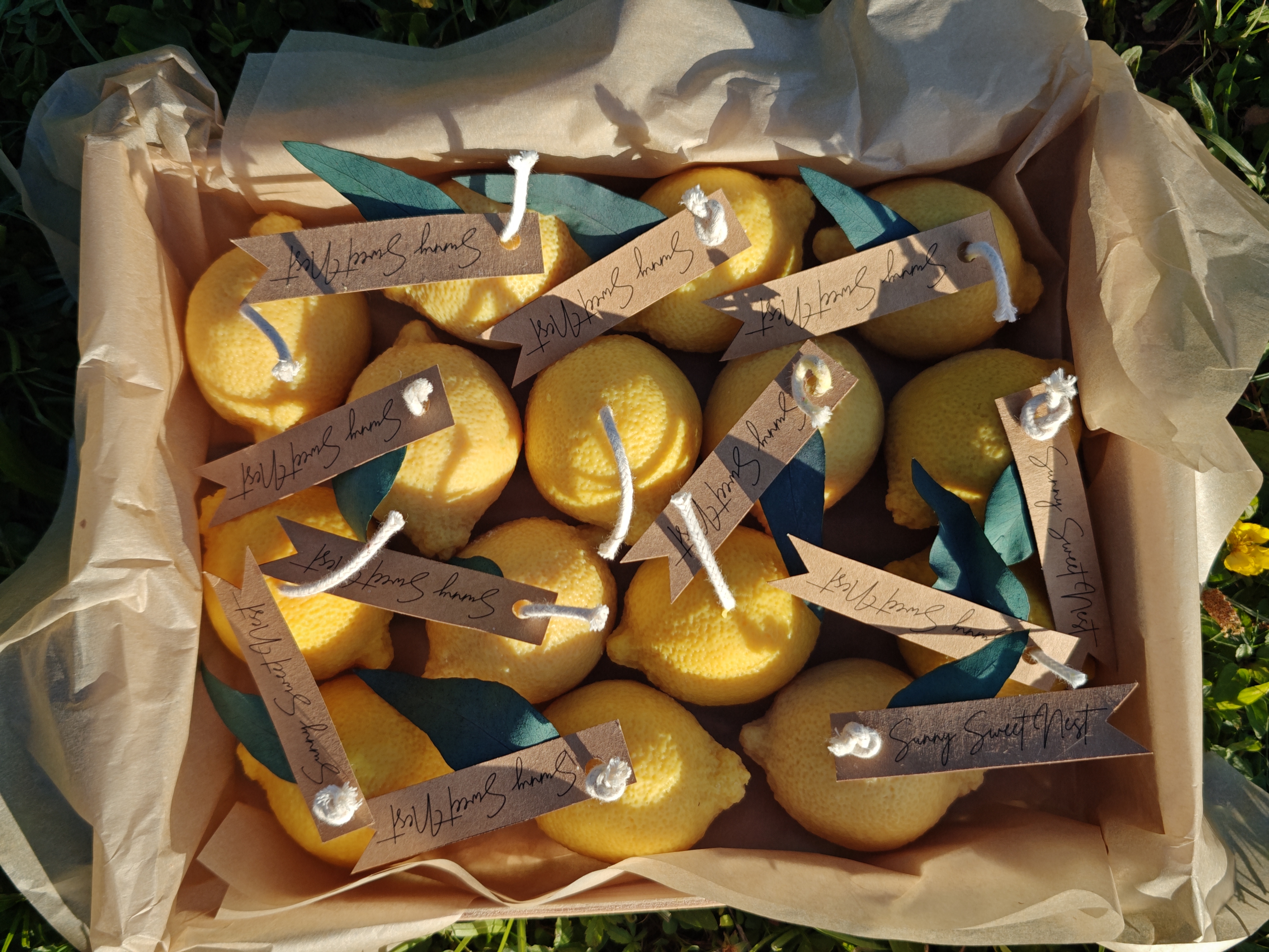 Collection Citron