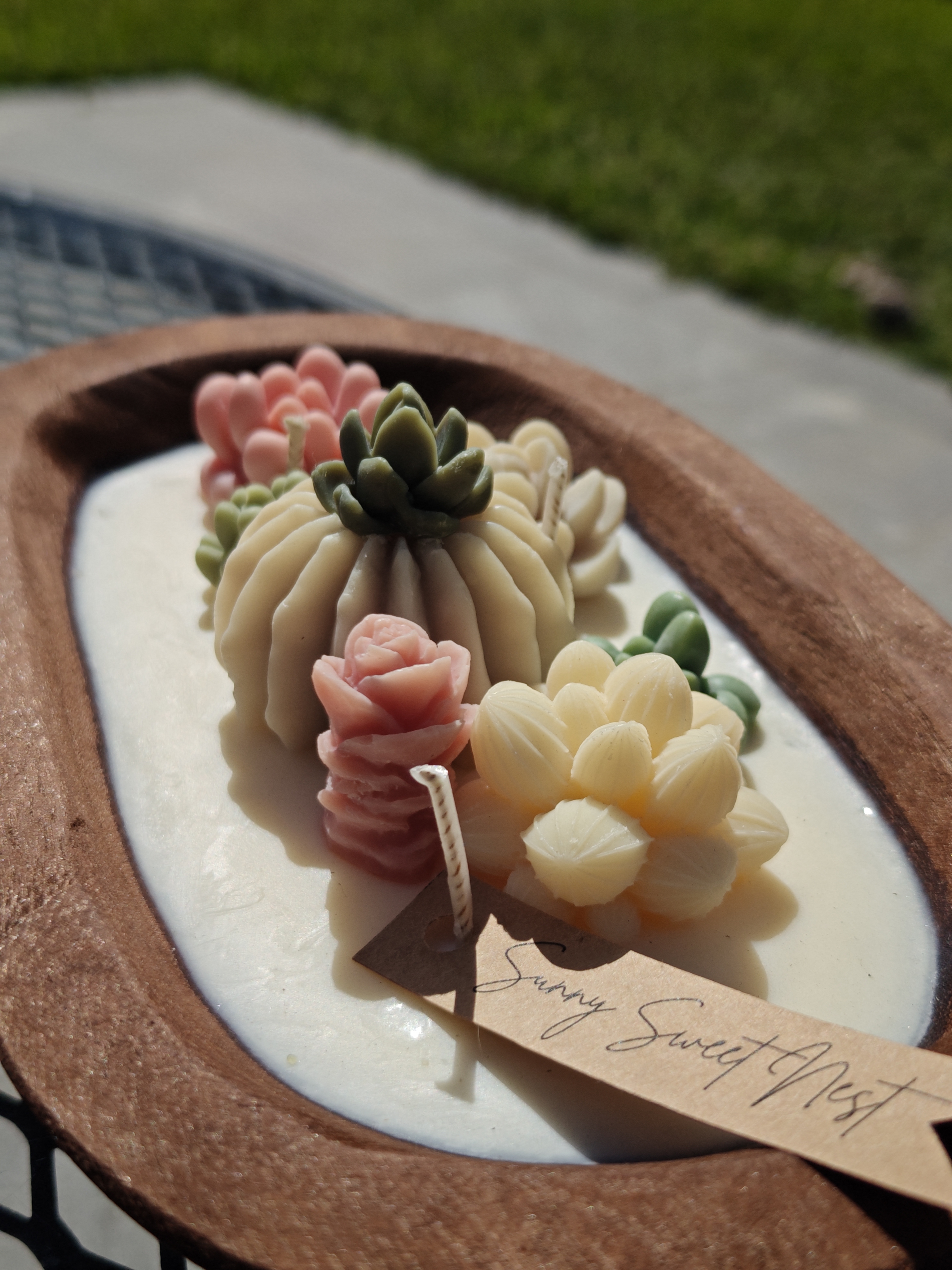 La Succulente